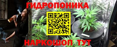 шишки Свободный