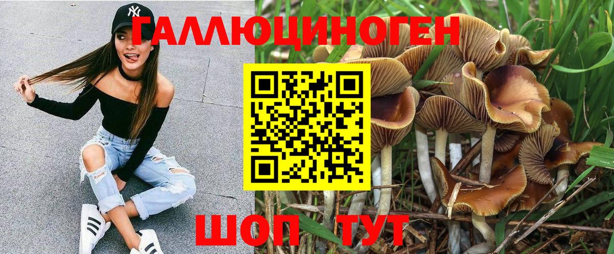 Галлюциногенные грибы Cubensis Нижнеудинск