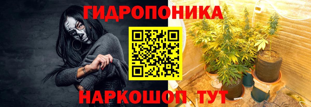 Нижнеудинск  Марихуана конопля  Канабис ГИДРОПОН  Вход с VPN 